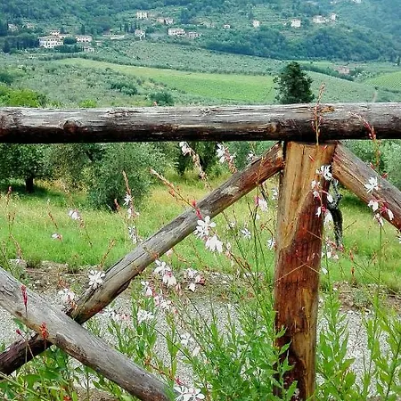 La Fornella Dell'Anita Villa Pelago Exterior photo