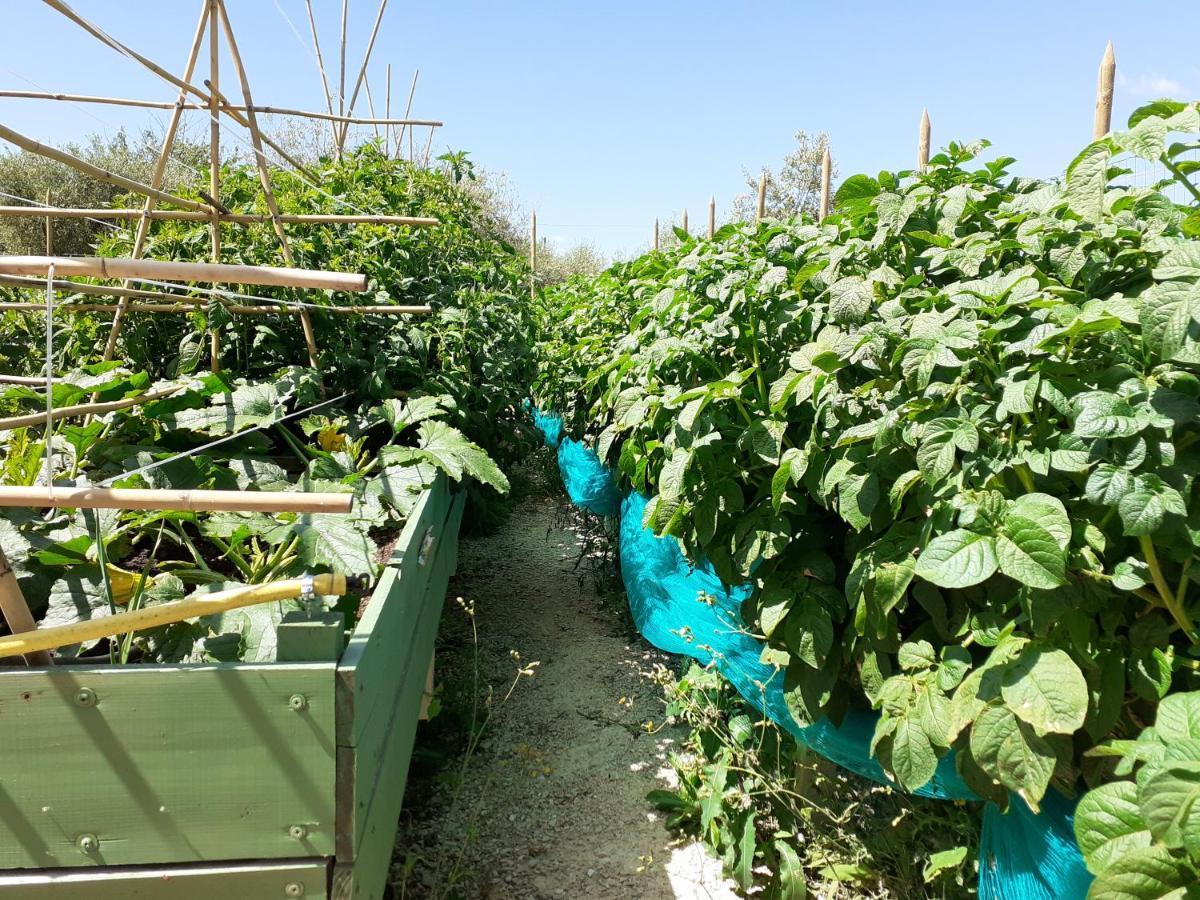 Farm stay La Fornella Dell'anita *