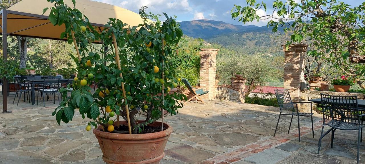 Farm stay La Fornella Dell'anita *
