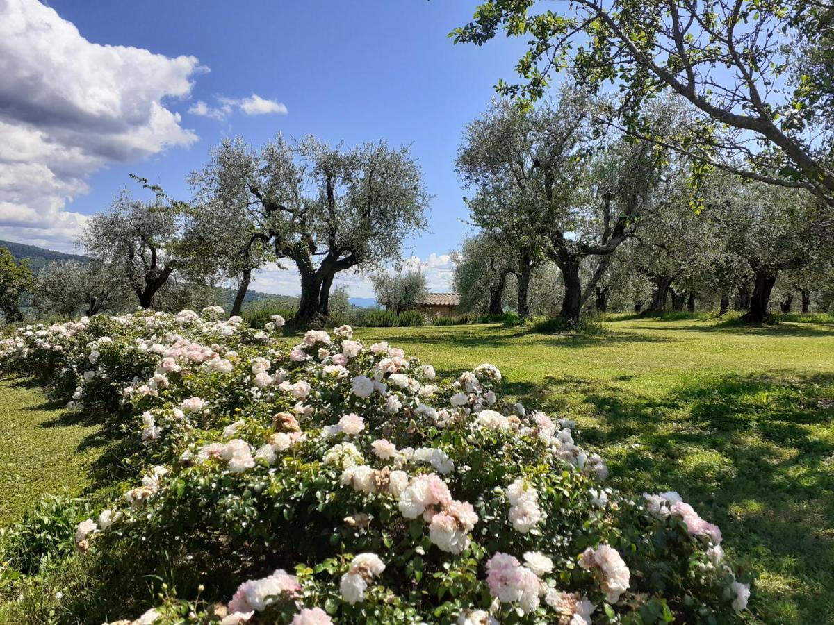 La Fornella Dell'anita