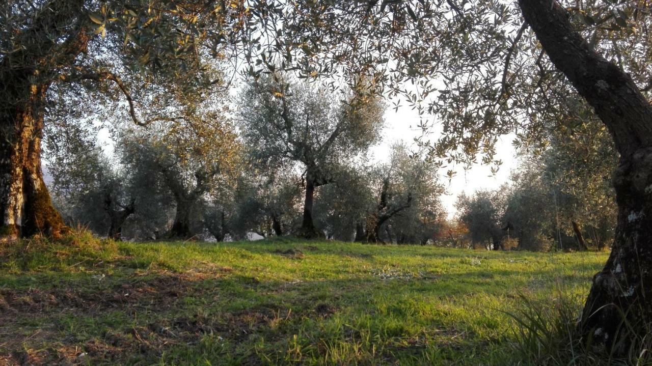 La Fornella Dell'anita Bauernhof *
