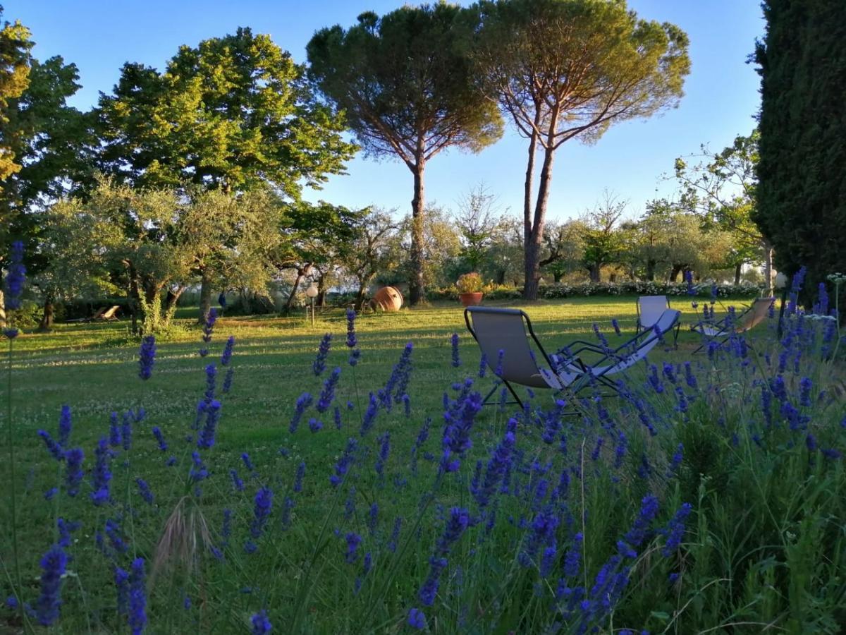 La Fornella Dell'anita * Pelago